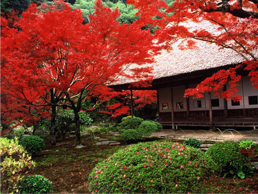 仁比山神社の写真